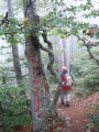 08. prema skloništu